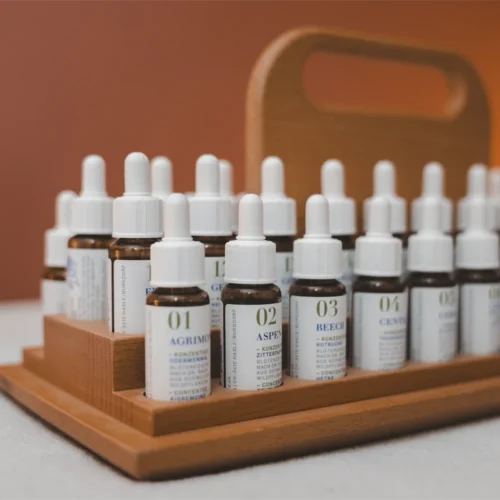 Luzia Schibig Therapeutin Bachblügen Therapie